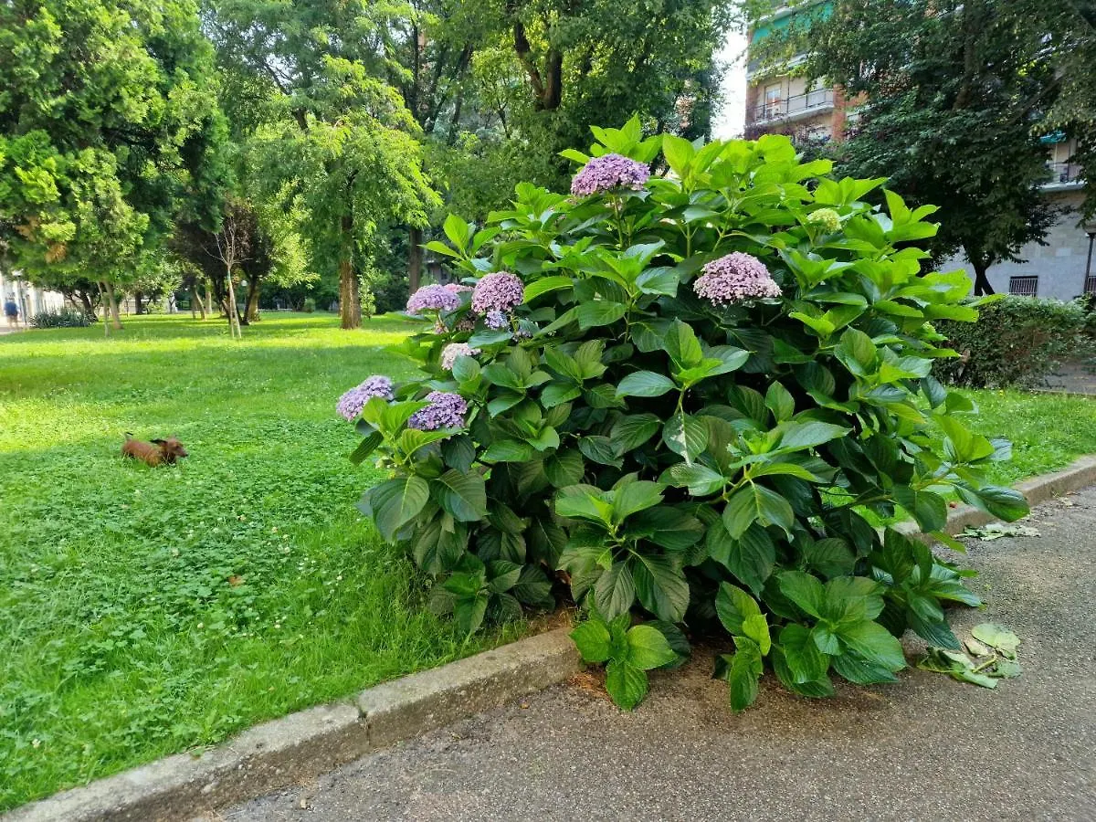 شقة Giardino Sul Naviglio ميلان