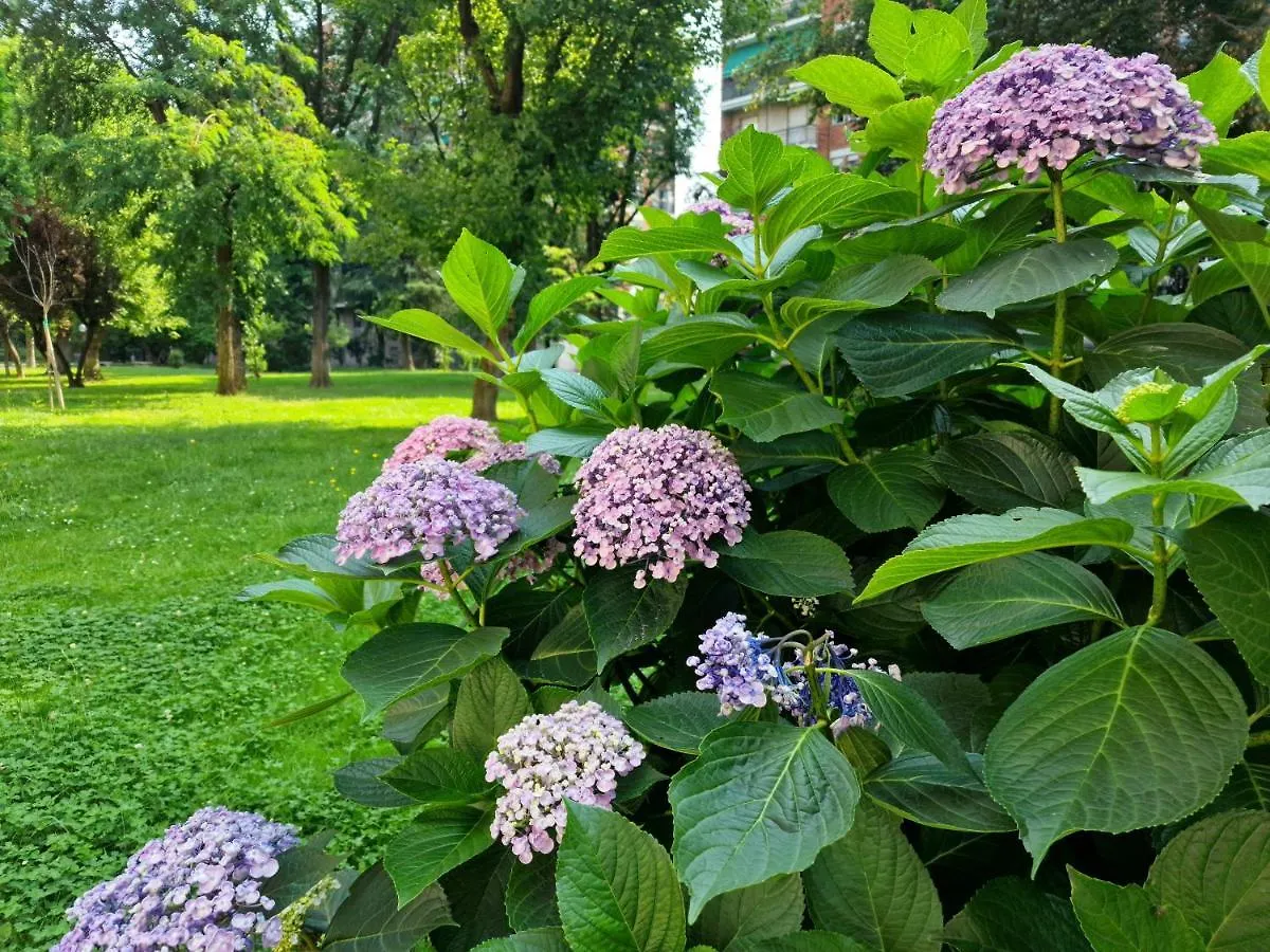 شقة Giardino Sul Naviglio ميلان